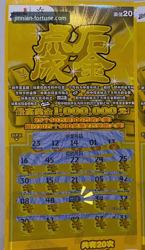 揭秘金年会体育投注：专业视角下的平台生态与用户体验深度解析